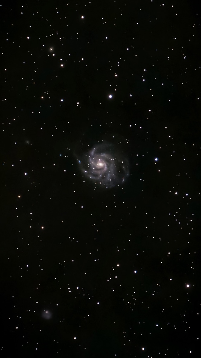 M101