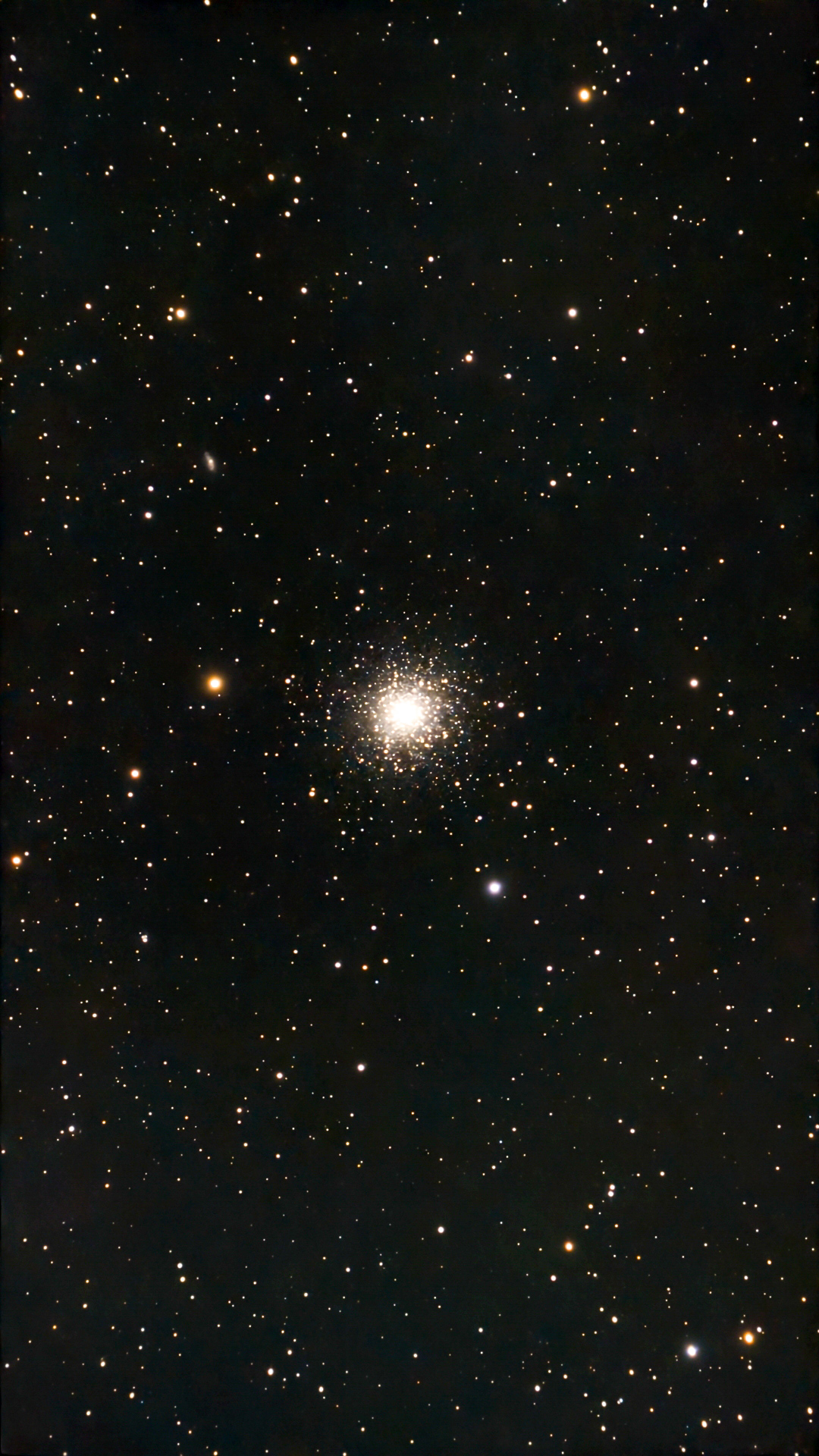 M13