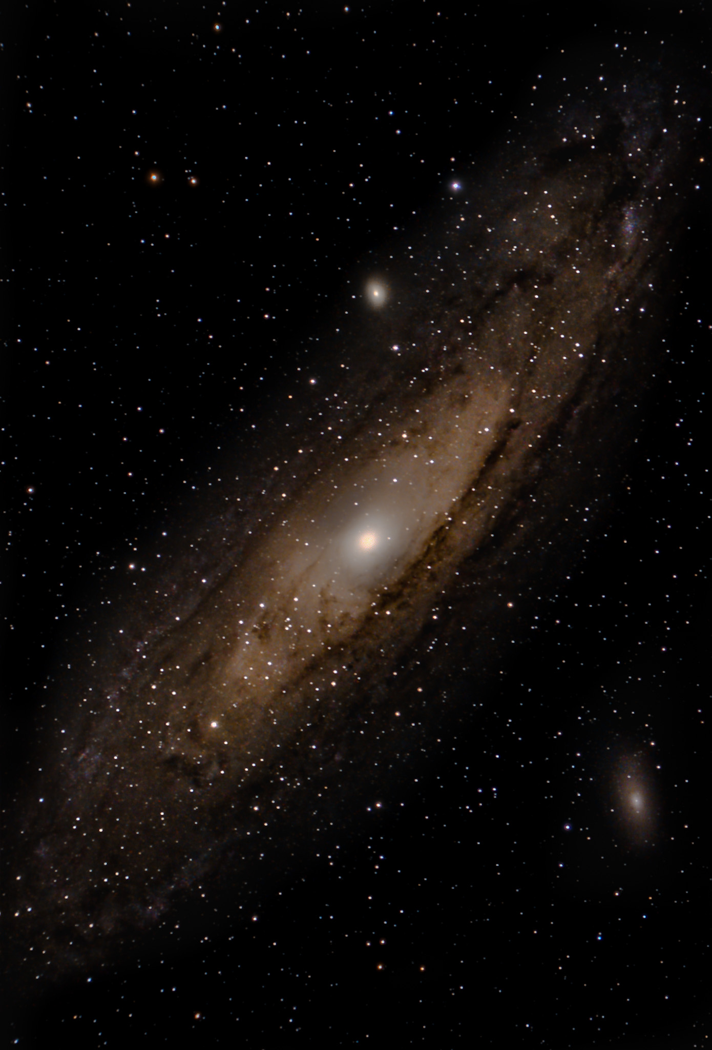 M31