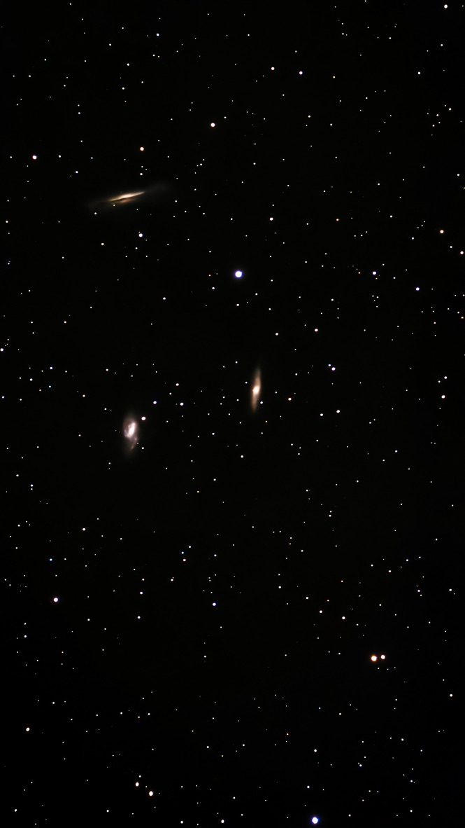 M66